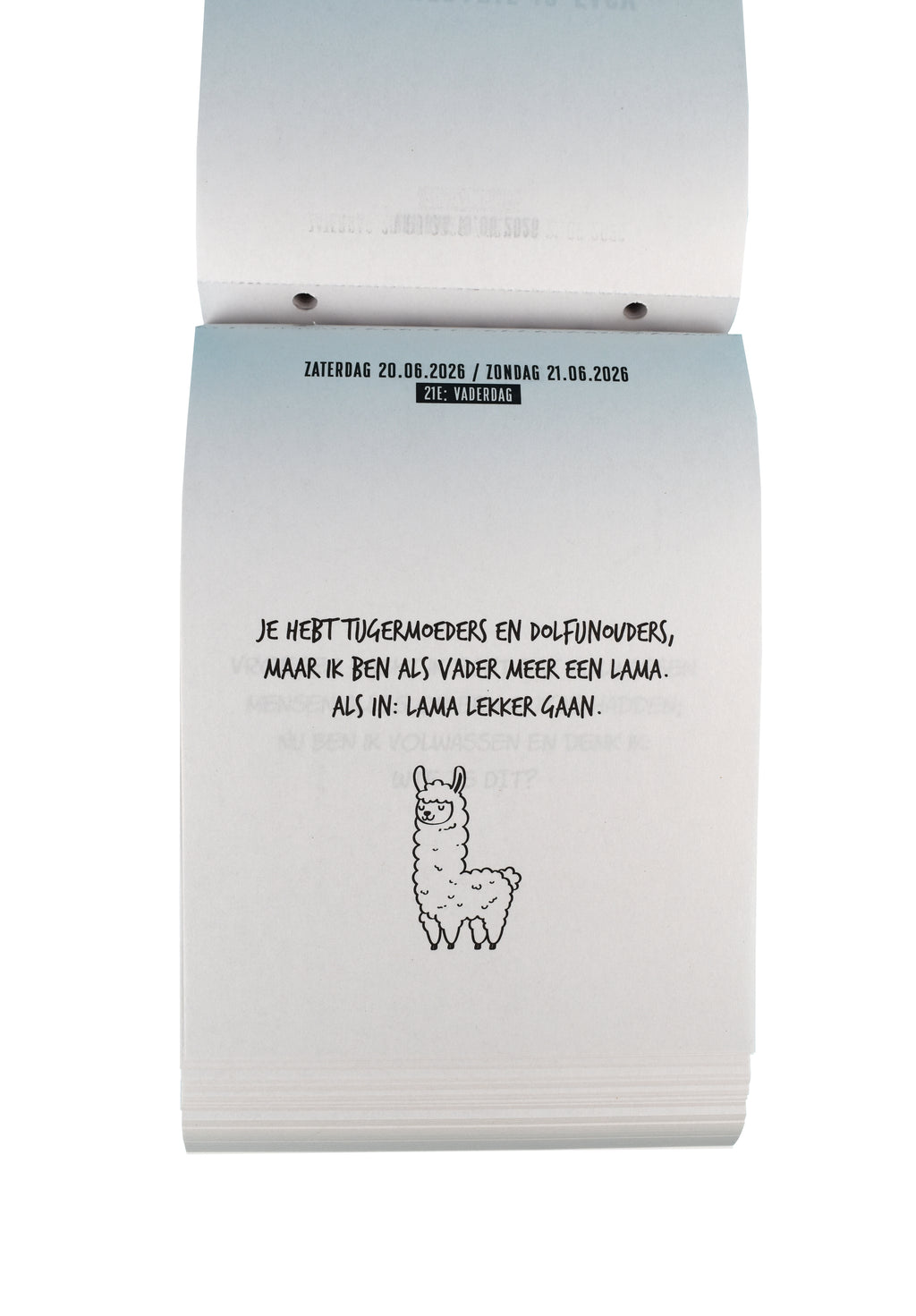 Jay Francis - Scheurkalender: Positive vibe, Positive life 2026